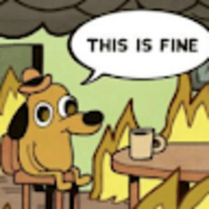 Meet your Posher, Gracie